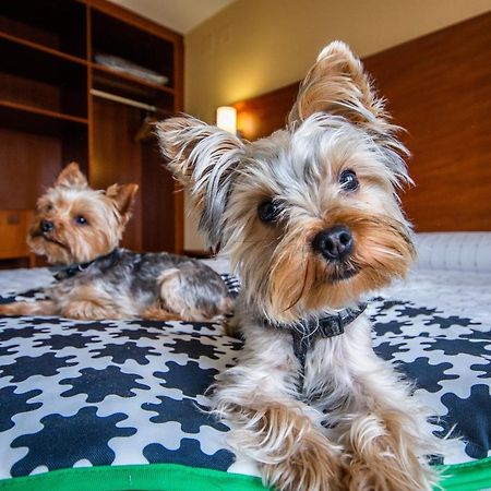 Pension Viella Asturias オビエド エクステリア 写真
