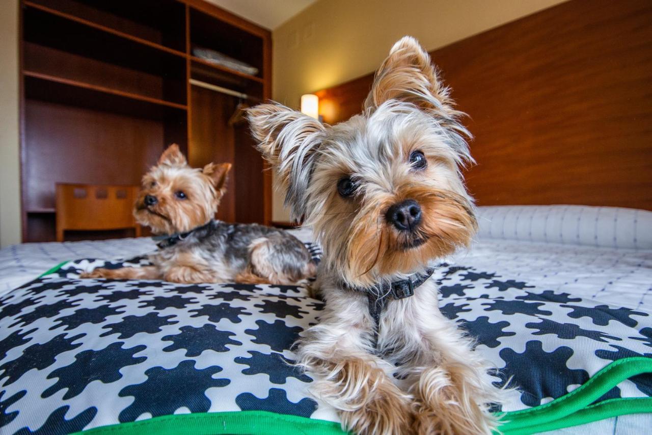 Pension Viella Asturias オビエド エクステリア 写真